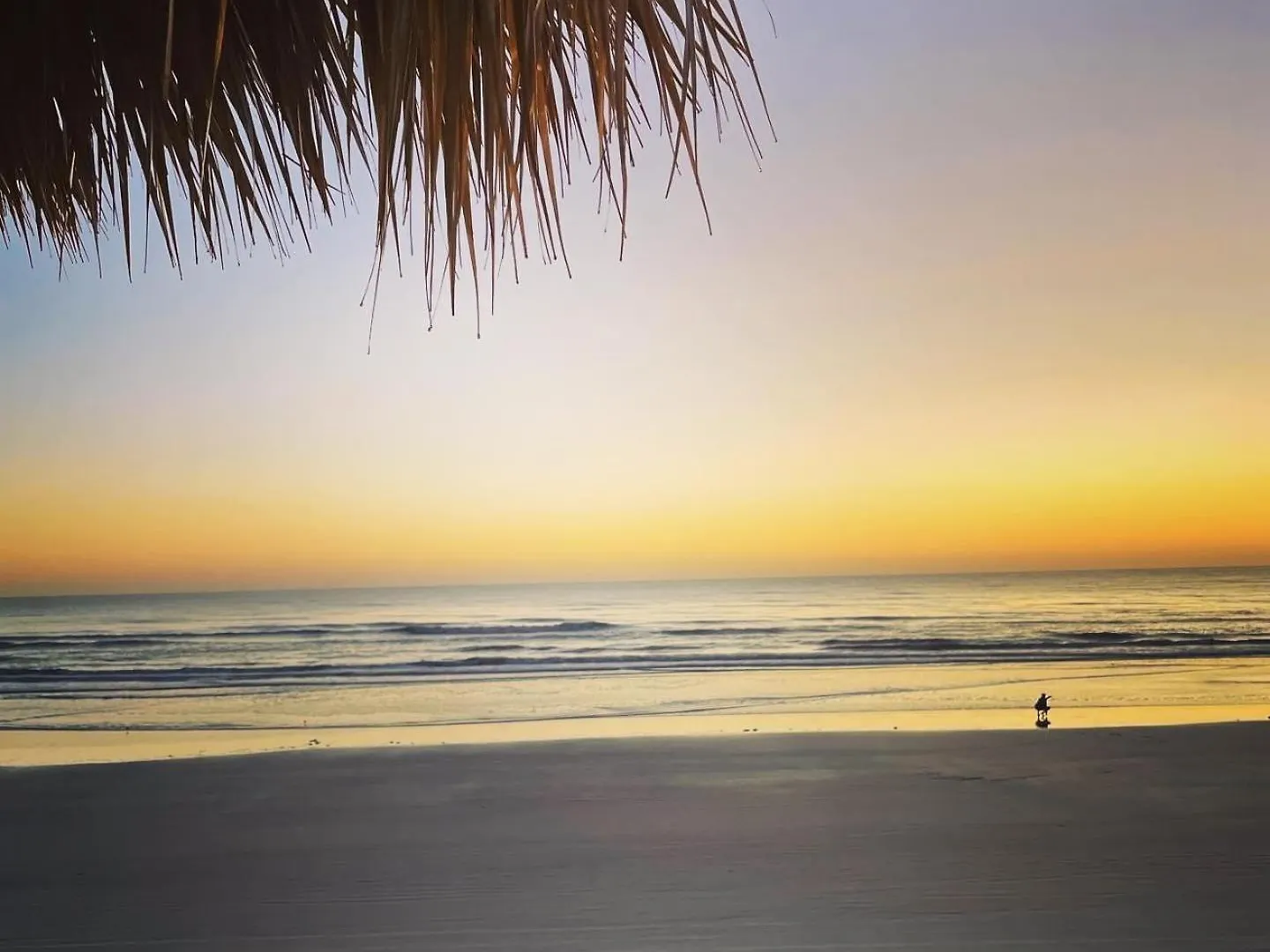 Hotel Hampton Inn Daytona Beach/Beachfront